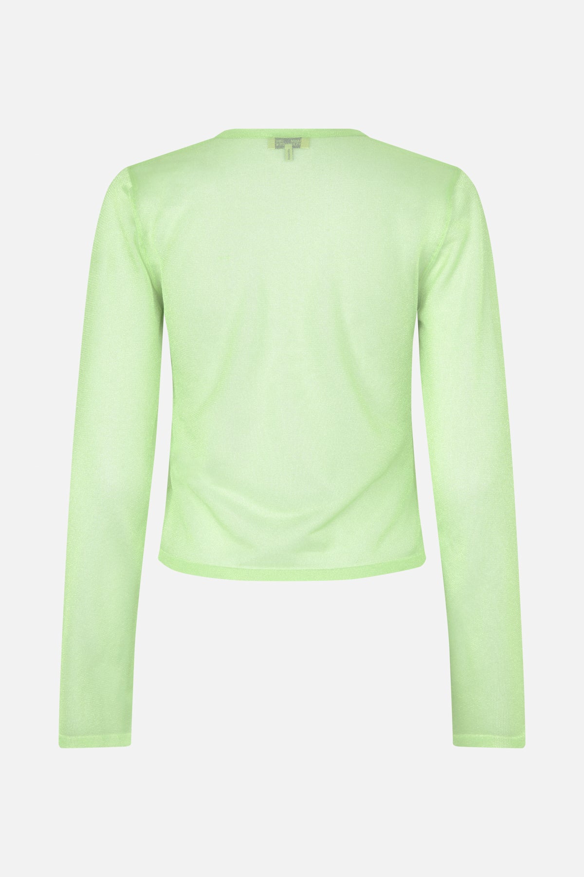 Back view of a sheer pale lime-green long-sleeved mesh top with a high round neckline.