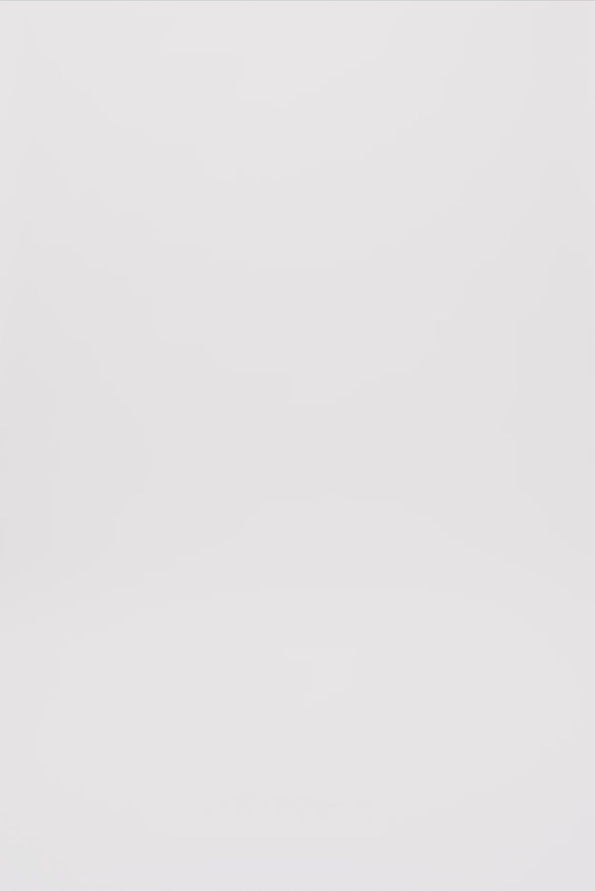 24960_1433_3.mov media file