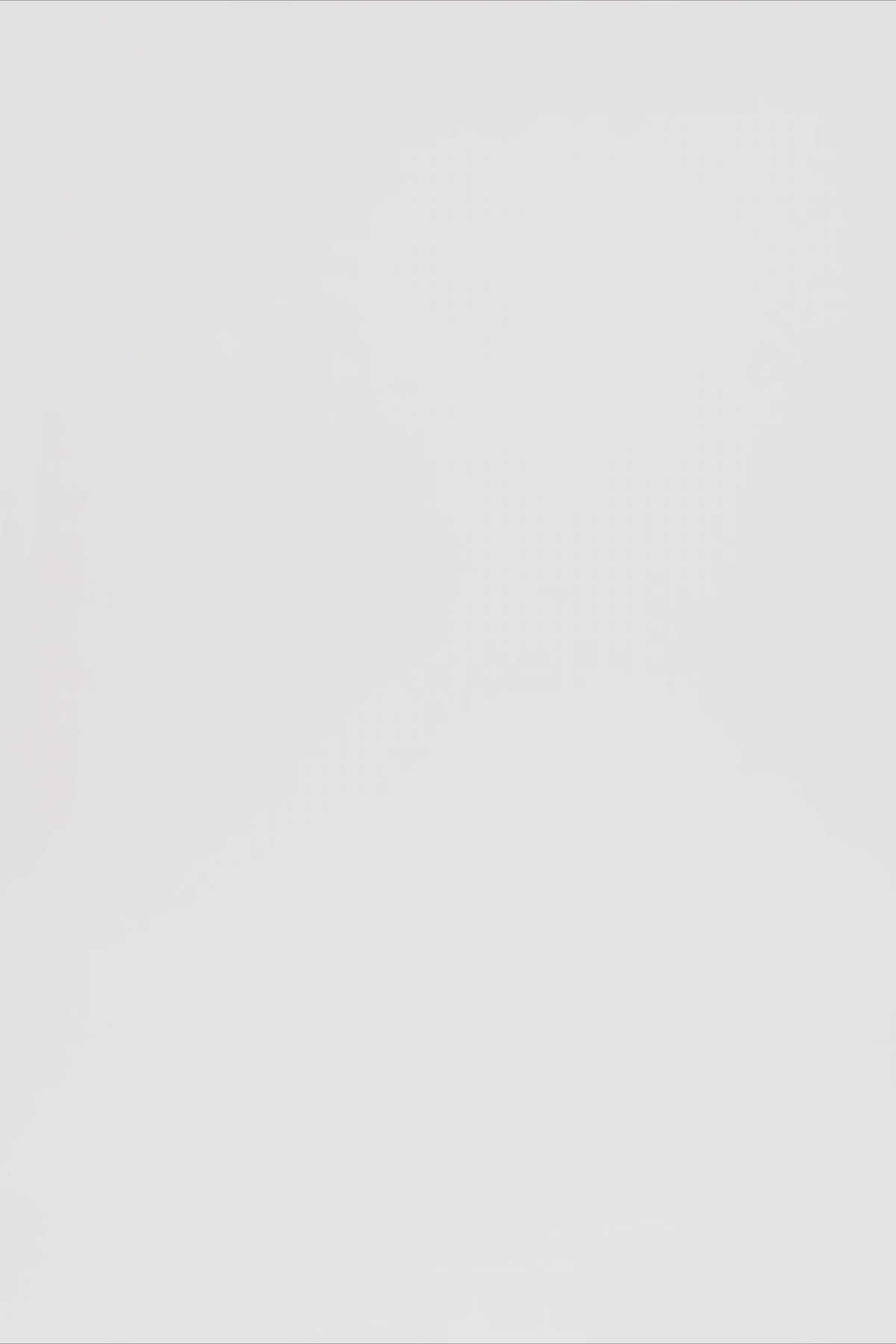 24704_7348_3.mov media file